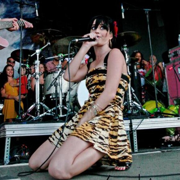 D&G Tiger Print Dress ASO Sharpay Evans & Katy Perry - Picture 6 of 11